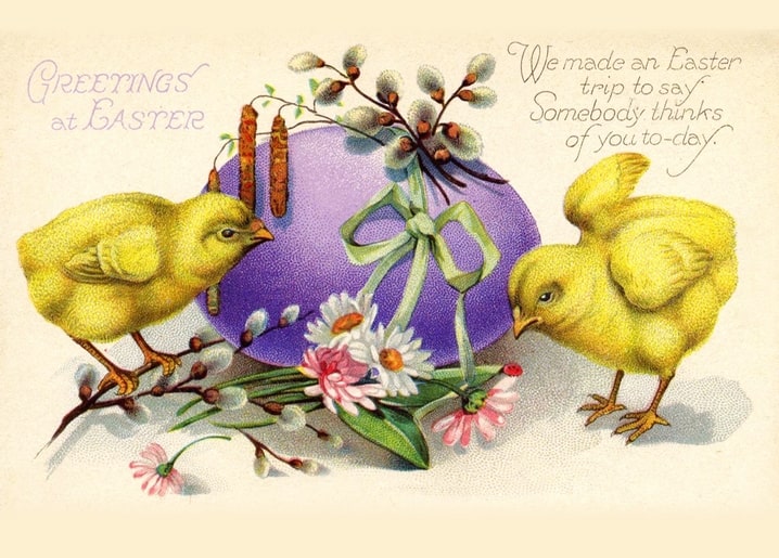 Vintage-Postkarte: zwei gelbe Küken neben lila Ei mit Schleife, Weidenkätzchen und rosa Gänseblümchen.