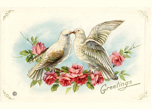 Two white doves touching beaks amid pink roses on a vintage greetings postcard
