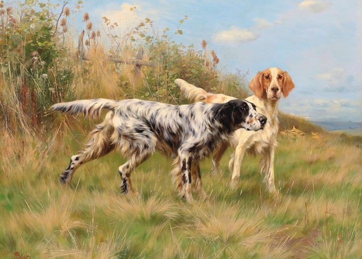 Oil painting of two English Setters standing in a grassy autumn field, by Thomas Blinks