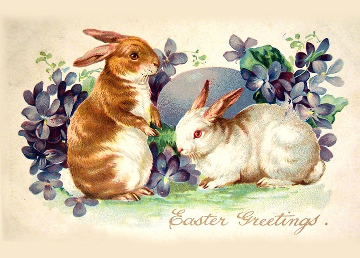 Vintage-Postkarte mit braunem und weißem Hasen zwischen Veilchen und einem großen blassen Ei