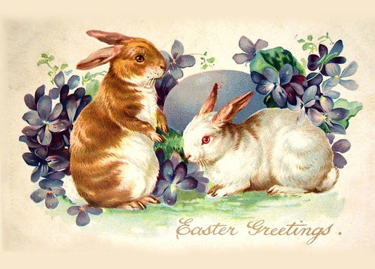 Vintage-Postkarte mit braunem und weißem Hasen zwischen Veilchen und einem großen blassen Ei