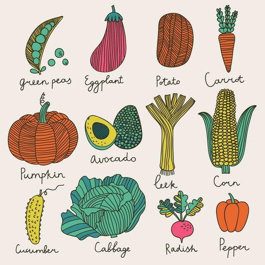 Hand-drawn chart of garden vegetables including eggplant, carrot, corn, and cabbage