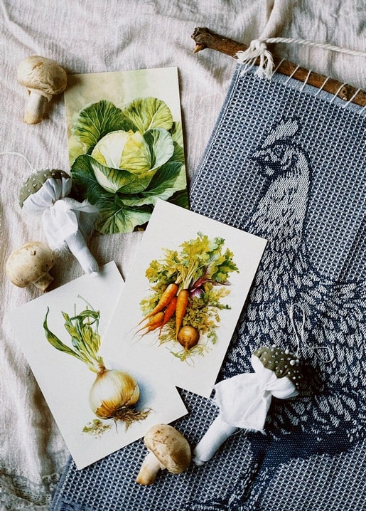 Botanische Gemüseillustrationen neben frischen Pilzen und gewebtem Huhn
