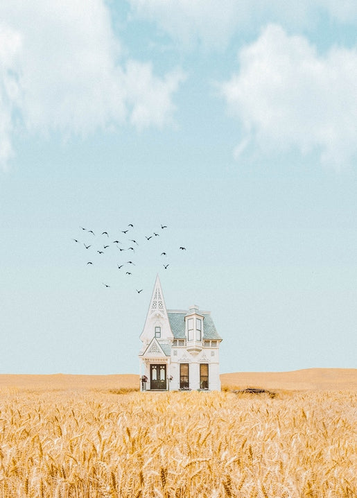 White Victorian house in a golden wheat field with birds flying overhead
