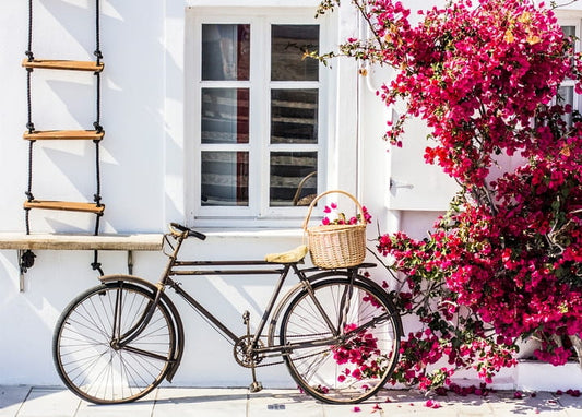 Vintage bicycle with a basket of pink bougainvillea against a whitewashed Mediterranean wall