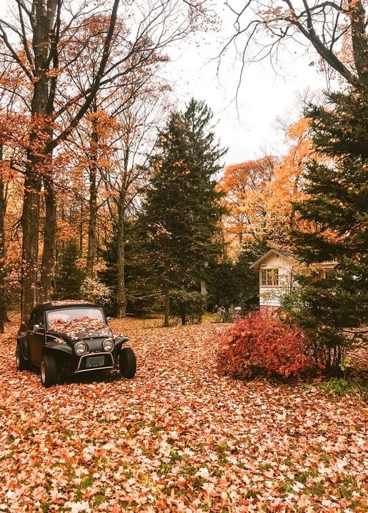 Schwarzer Oldtimer-Cabrio im Herbstlaub vor einem weißen Cottage