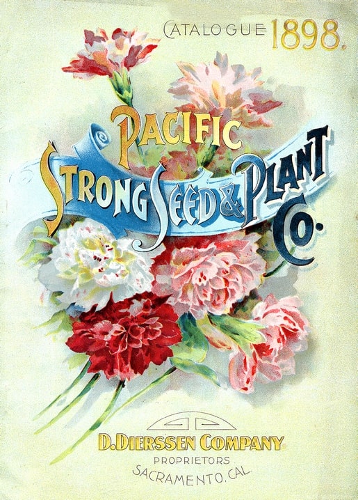 1898 Pacific Strong Seed and Plant Co. catalogue cover with red, white, and pink carnations
