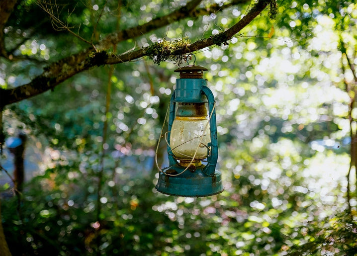 Rusted turquoise lantern hanging from a mossy tree branch in a forest