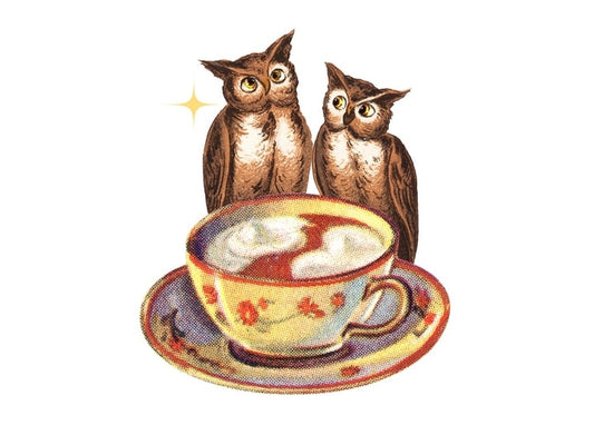 Vintage-style illustration of two owls perched behind a floral teacup with cream