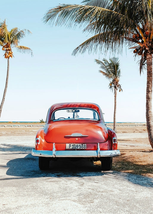 Vintage red car parked under palm trees by the sea