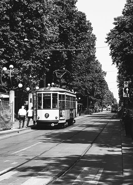 Historische Straßenbahn auf einer sonnigen, baumbestandenen Allee