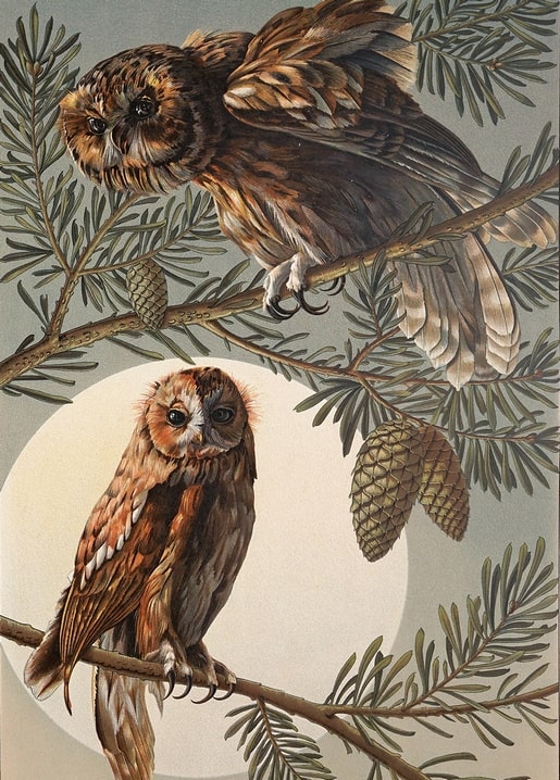 christmas retro vintage postcard