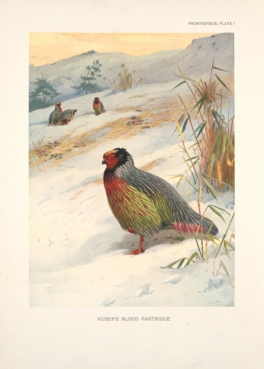 christmas retro vintage postcard