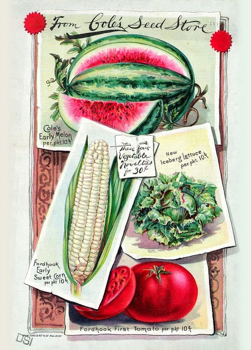 Cole's Seed Store catalog cover with watermelon, sweet corn, iceberg lettuce, and tomatoes
