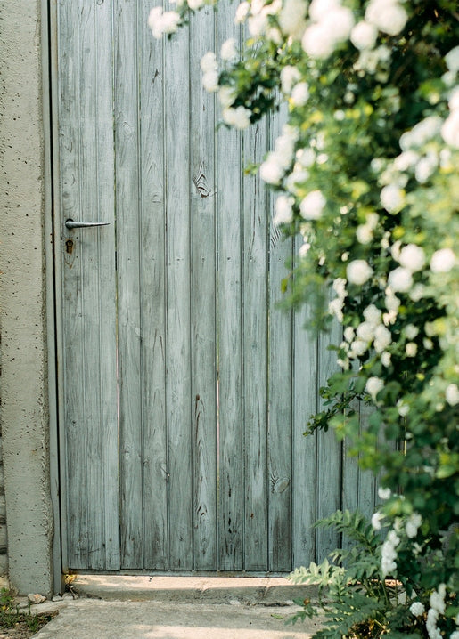 Weathered blue-grey wooden door in Kyiv nearly hidden behind blooming white climbing roses
