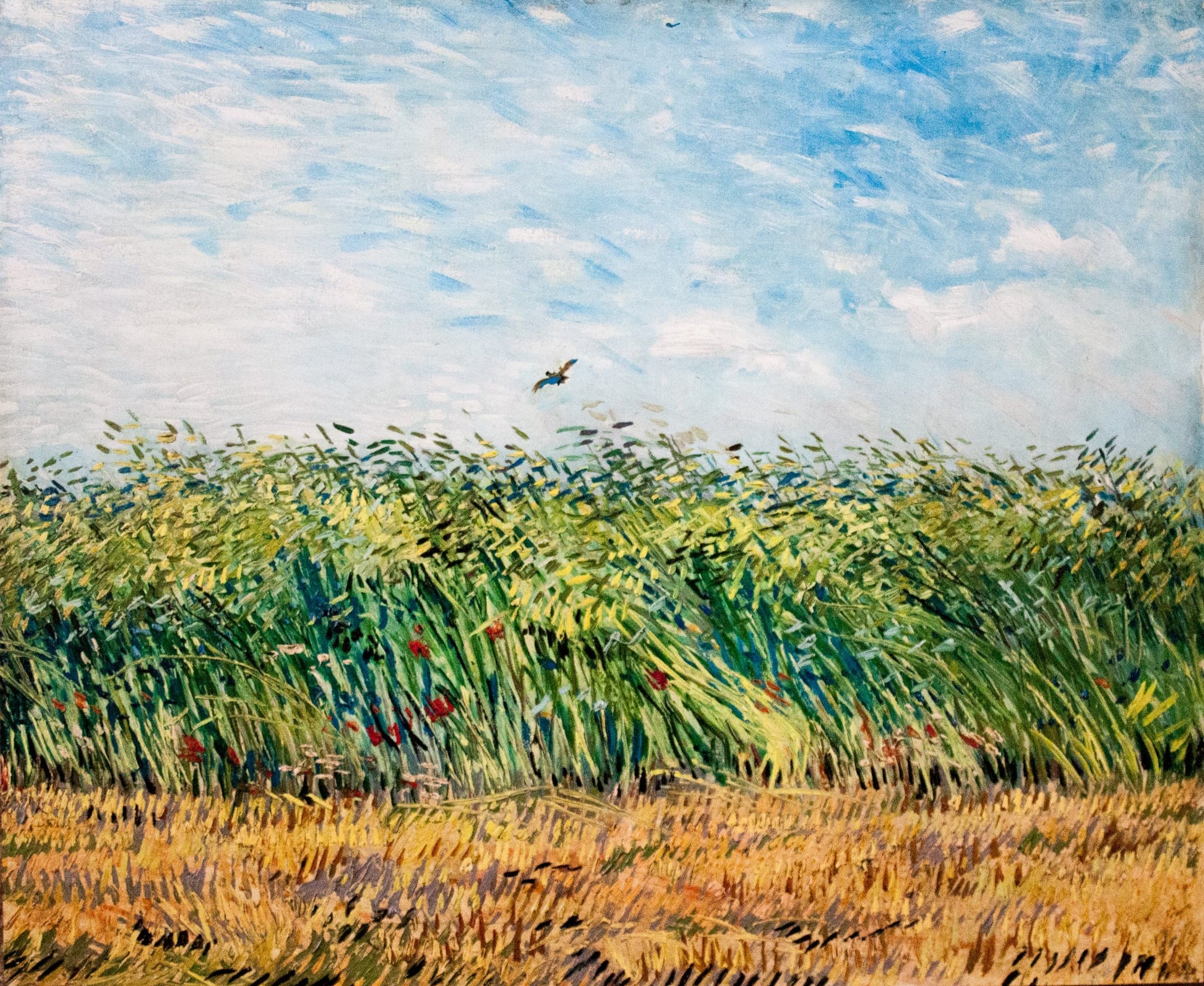 Van Goghs Weizenfeld mit Rebhuhn — ein Vogel fliegt über goldenem Getreide auf