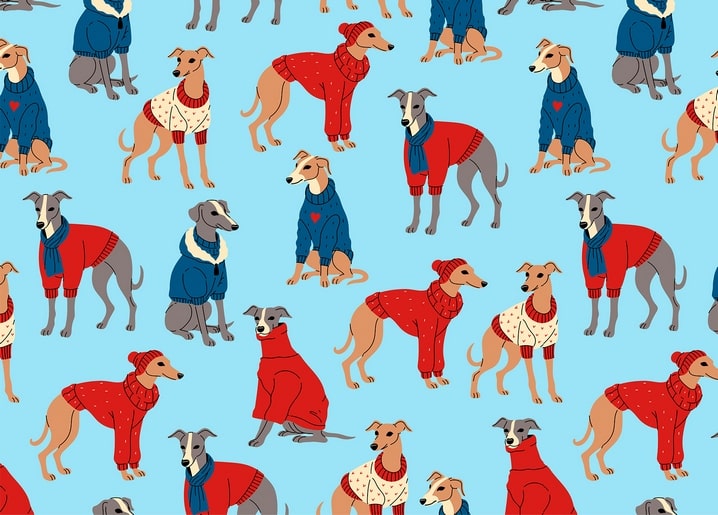 Pattern of whippets and greyhounds wearing red and navy knit sweaters on light blue