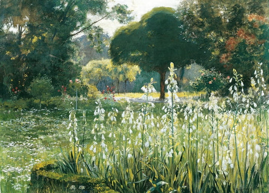Garden with tall white flower spikes and lush green trees in summer