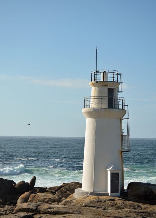 White lighthouse on rocky shore with a seagull and distant sailboat