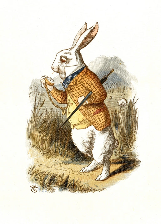 Illustration of the White Rabbit in a waistcoat checking his pocket watch among grass and dandelions