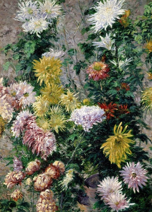 Close-up oil painting of white and yellow chrysanthemums by Gustave Caillebotte, 1893