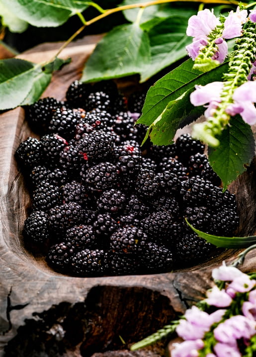 Haufen reifer wilder Brombeeren in einer rustikalen Holzschale mit grünen Blättern und rosa Waldblumen.