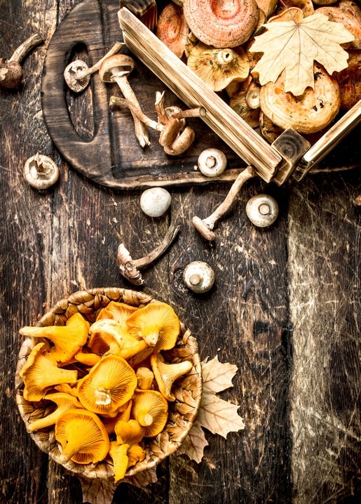 Korb mit Pfifferlingen und Kiste mit Steinpilzen auf einem dunklen Holztisch