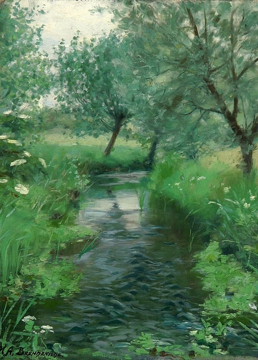 Narrow brook winding through willow-lined meadow with white wildflowers on the banks