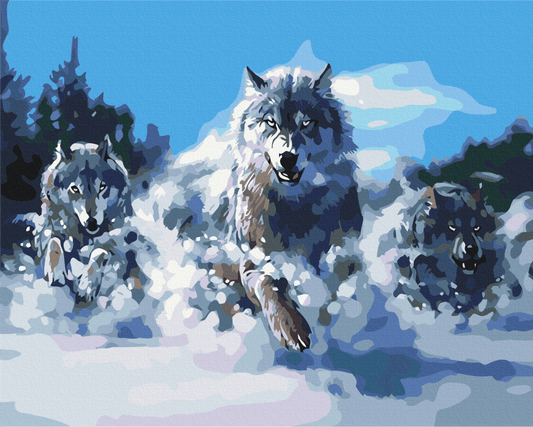 Wolf pack running through deep snow under a blue winter sky, paint-by-numbers canvas