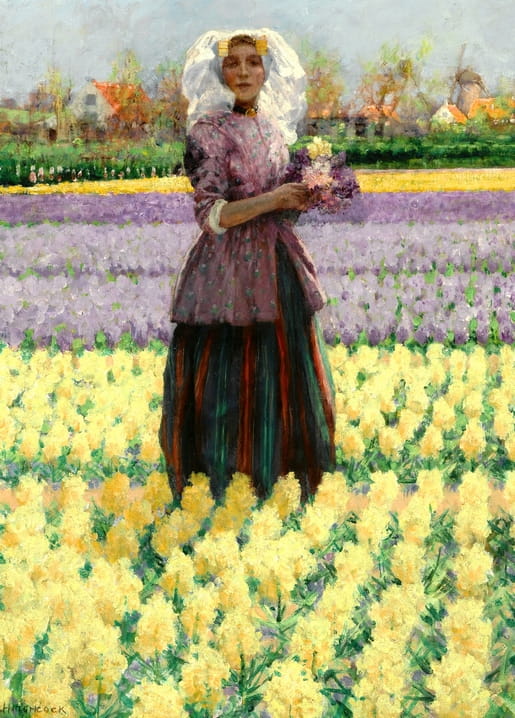 Dutch woman in lace cap standing among purple and yellow hyacinth fields, windmill in background, painting reproduction.