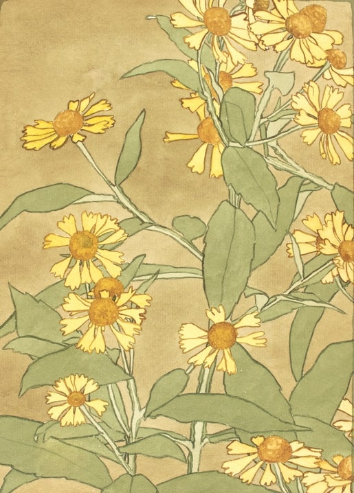 Jugendstil-Illustration mit gelben Gänseblümchen und orangefarbener Mitte, von Hannah Borger Overbeck