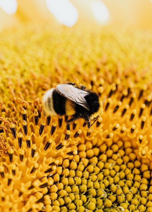 Листівка Осіння казка / Видавничий дім "Золота Птаха