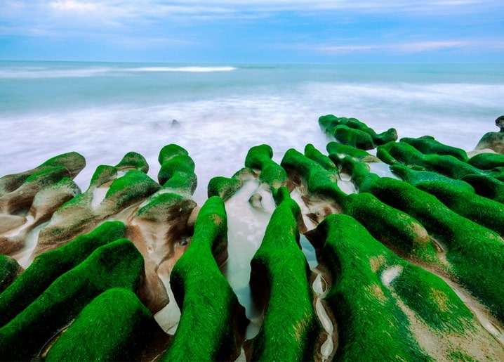 Bright green algae-covered ridged rocks with misty ocean waves rolling in behind them