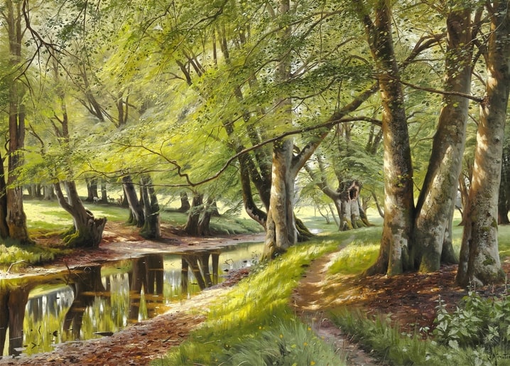 Sunlit ancient beech forest with a winding stream, painting by Peder Mønsted
