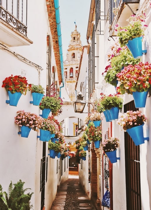 Schmale weiße Gasse mit blauen Geranientöpfen und Glockenturm in der Ferne