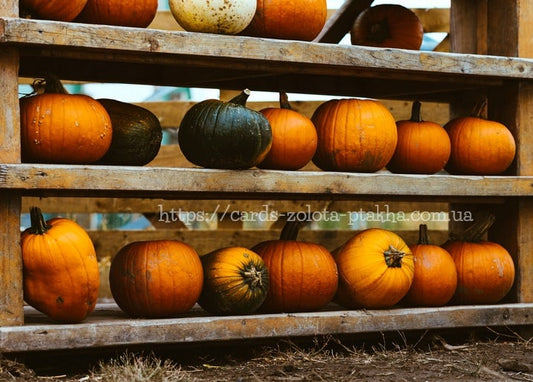 Postkarte Herbst - Herbstpostkarten / Verlag Zolota Ptakha
