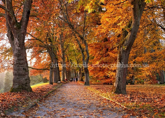 Postkarte Herbst - Herbstpostkarten / Verlag Zolota Ptakha