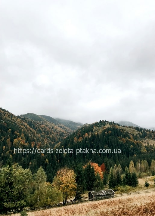 Golden autumn trees and a wooden hut in a misty Carpathian valley