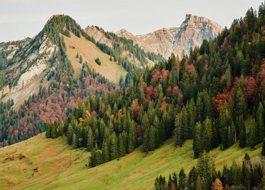 Felsige Alpengipfel über Hängen mit rot-orangem Herbstlaub und einer grünen Wiese