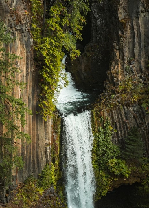 Wasserfall in einer moosigen Basaltschlucht, umgeben von Kiefern