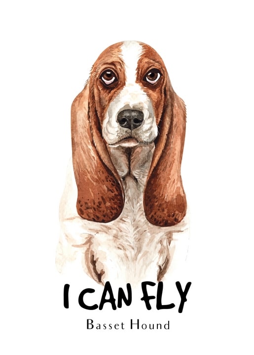 Aquarellillustration eines Basset Hound mit langen Ohren, Bildunterschrift „I Can Fly“.