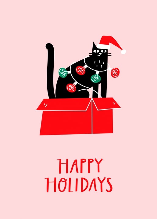 Schwarze Katze mit Weihnachtsmütze und Lichterkette in einem roten Geschenkkarton
