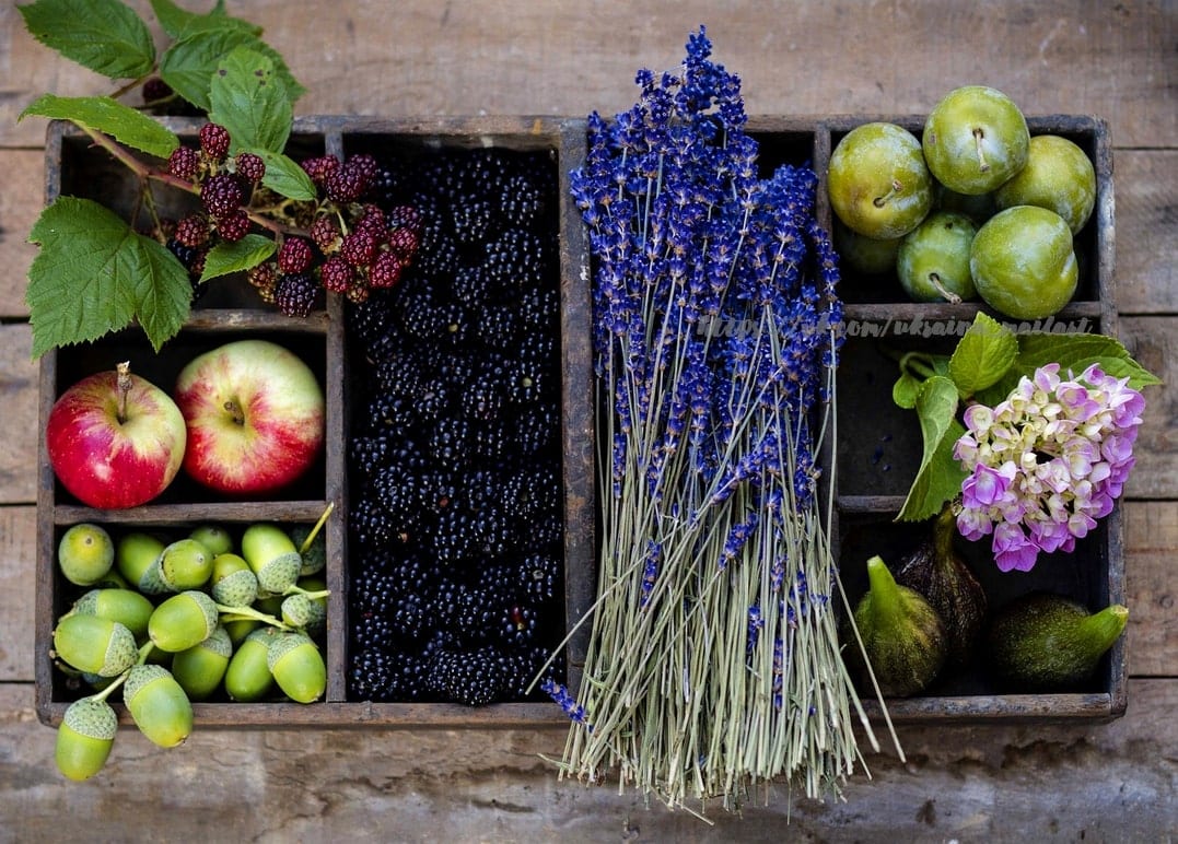 Holzkiste mit Brombeeren, Äpfeln, Lavendel und Eicheln