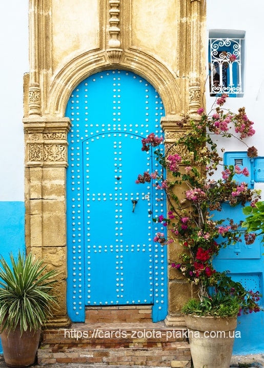 Leuchtend blaue Bogentür mit blühender Bougainvillea vor Steinmauer