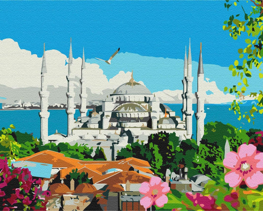 Blue Mosque's minarets and domes rising over Istanbul rooftops with a gull in flight, paint-by-number design