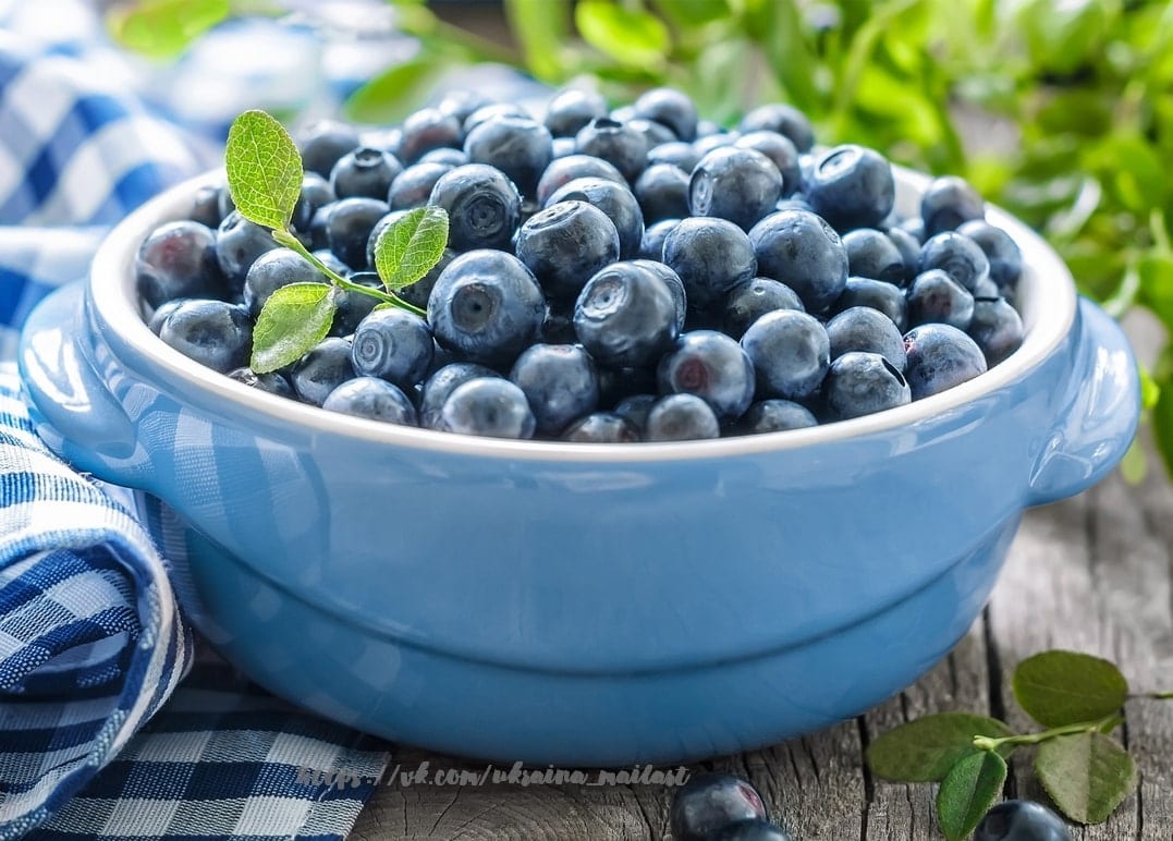Blaue Keramikschale gefüllt mit frischen Blaubeeren und Minzzweig
