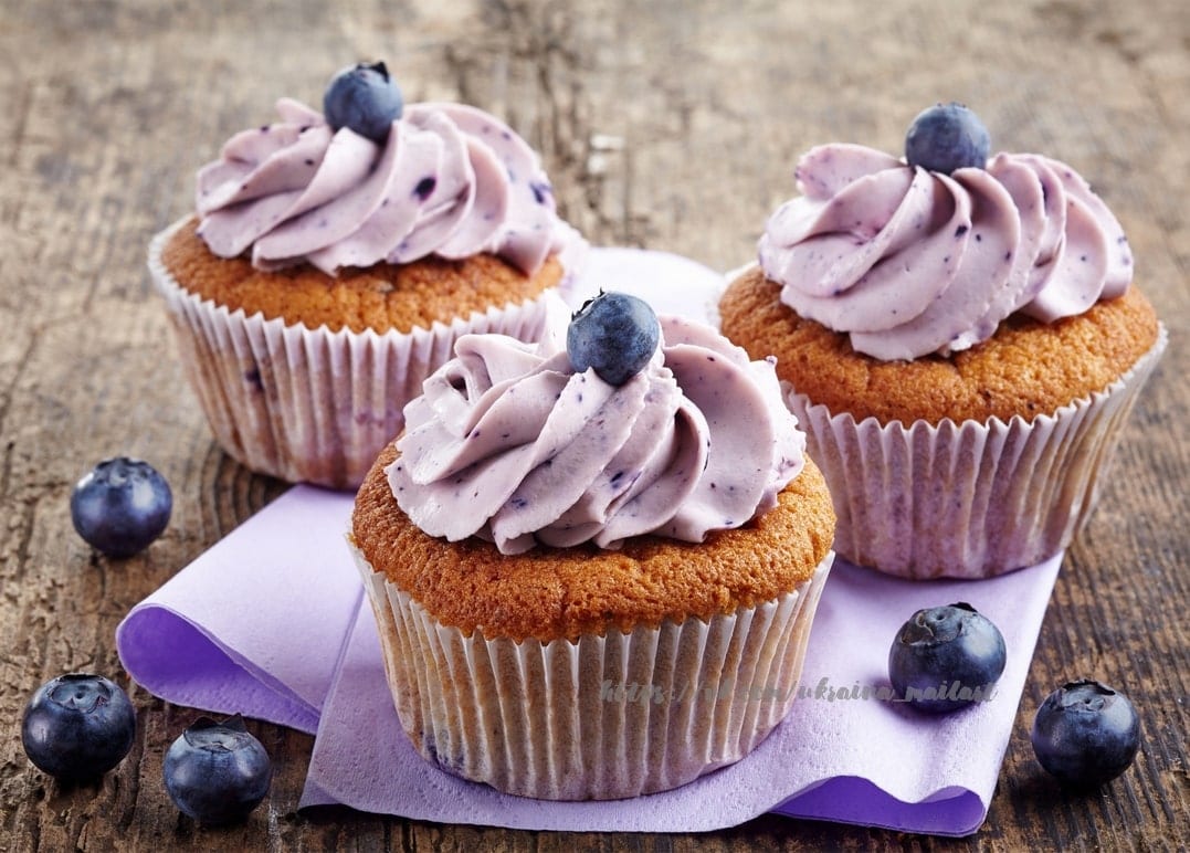 Drei Blaubeer-Cupcakes mit Lavendel-Frosting und frischen Blaubeeren