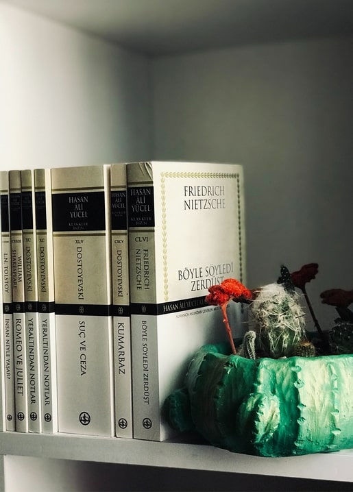 Ряд книжок на полиці біля керамічного кашпо-кактуса з помаранчевою квіткою