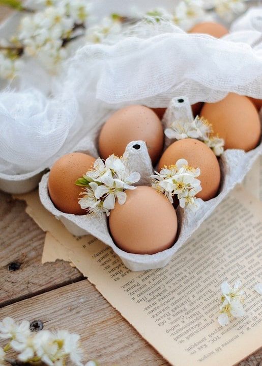 Brown eggs in a paper carton with white cherry blossoms on an open book page