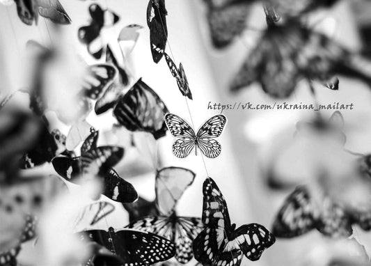 Papierschmetterlinge unscharf, ein weißer Schmetterling scharf im Fokus, Schwarz-Weiß-Foto